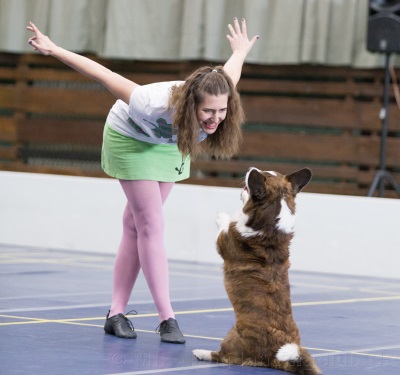 Aygo v trpaslíkovi, irská sestava